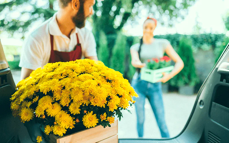 Carro por Assinatura: Um homem e uma mulher trabalhando em uma floricultura